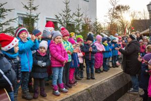 Die Jungen und Mädchen des Kindergartens erfreuten die Besucher mit ihrer Aufführung. Fotos: Kaul Foto: Schwarzwälder Bote