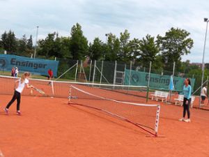 Der TC Empfingen setzt auf Jugendarbeit und hat Erfolg damit: Die Zahl der Kinder und Jugendlichen, die in dem Verein Tennis spielen, wächst.Archiv-Foto: Begemann Foto: Schwarzwälder Bote