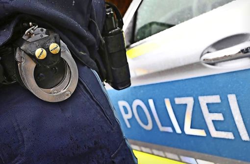 Die Polizei ermittelt nach einem Diebstahl im Lahrer Media-Markt im Mietersheimer Fachmarktzentrum. Foto: Hildenbrand