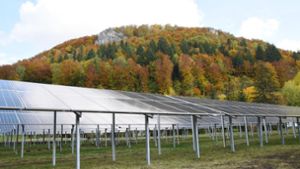 So viel leistet Freiflächen-Photovoltaik