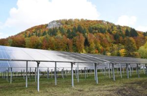 In der Ehestetter Talaue in Ebingen beim Wasserwerk steht bereits Freiflächen-Photovoltaik. Was diese Energieerzeugung unter Klimaschutzgesichtspunkten – im Wettbewerb mit Bäumen – bringt, war Thema im Technischen und Umweltausschuss. Foto: Kistner
