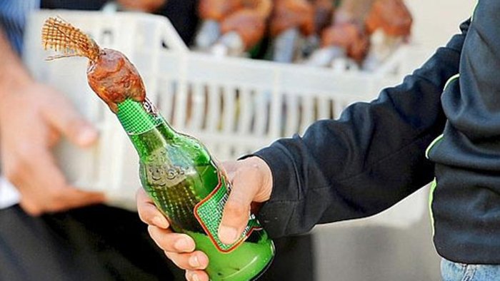 Mann wirft Molotow-Cocktail auf Gasthaus