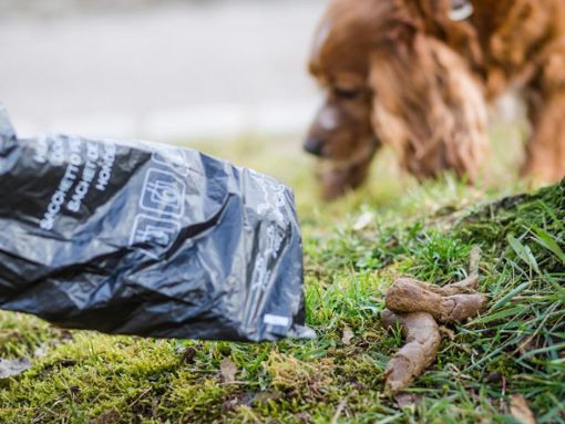 Mit einem gefüllten Kotbeutel wollte ein Hundebesitzer in Hechingen gegen einen Bußgeldbescheid protestieren. (Symbolbild) Foto: dpa