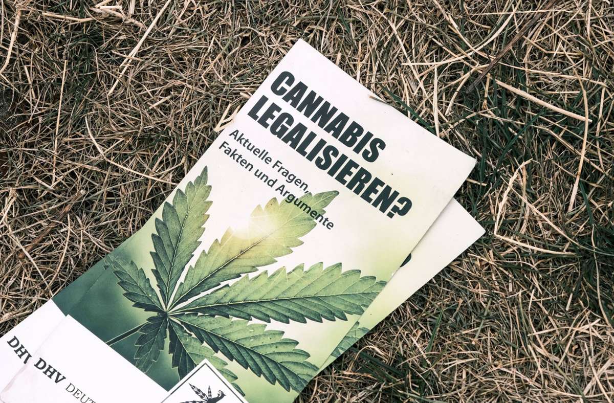 Delegation fliegt nach Kalifornien: Politiker informieren sich wegen Cannabis-Legalisierung