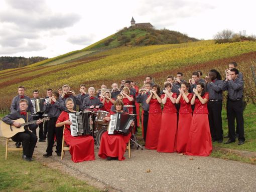 Das Mundharmonika-Orchester aus Knittlingen gastiert in Freudenstadt.  Foto: Veranstalter Foto: Schwarzwälder Bote