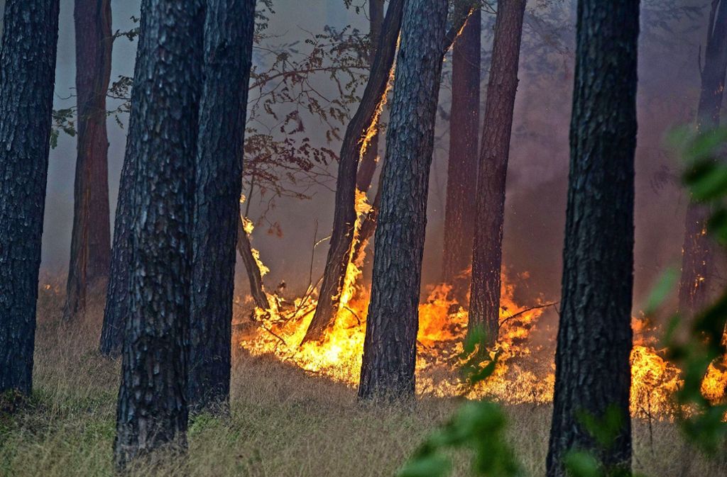 Im Nationalpark Schwarzwald dürfen die Feuerschalen auf den drei Trekkingplätzen momentan wegen der Waldbrandgefahr nicht verwendet werden. (Symbolfoto) Foto: dpa-Zentralbild