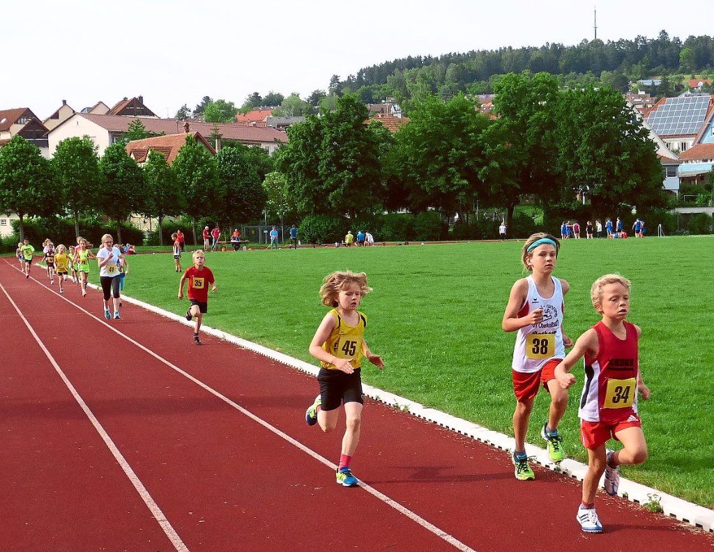 Leichtathletik: Stammheimer Läuferabende haben Tradition