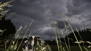 Schwere Unwetter in Teilen Deutschlands bis in den Donnerstag