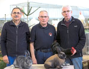 Erfolgreiche Wildberger Kleintierzüchter: Ewald Röhm, Joachim Kern und Reinhard Kern (von links).  Foto: Priestersbach Foto: Schwarzwälder Bote