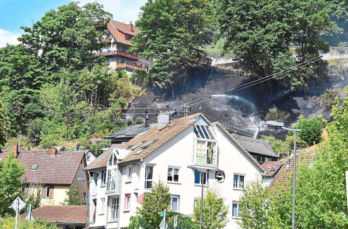 Am Lauterbacher Sonnenberg ist die Feuerwehr nach einem Flächenbrand am Sonntag im Einsatz. Foto: Wegner