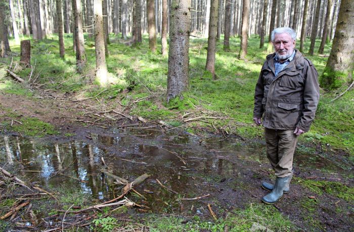 Suche nach der Ursache: Woher sprudelt das Wasser im Wald bei Donaueschingen?