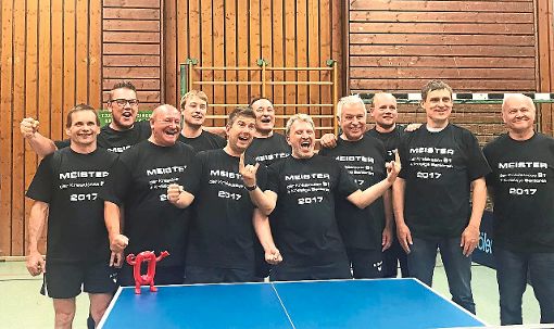 Das erfolgreiche Team des TSV Hochmössingen II samt Ersatzspielern inden extra gedruckten Meister-T-Shirts. Foto: Wagner Foto: Schwarzwälder-Bote