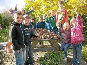 Die Beffendorfer NaBu-Kids sind sichtlich stolz auf ihre Kartoffelernte. Foto: NaBu Foto: Schwarzwälder-Bote