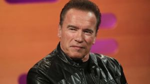 Netflix plant  Serie mit Schwarzenegger