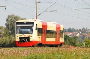 Busse ersetzen den Ringzug in den Ferien.  Foto: privat Foto: Schwarzwälder Bote