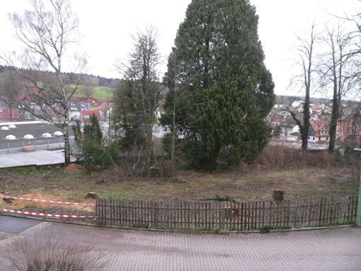 Das Gelände in der Neuen Mitte, auf dem sich in früherer Zeit ein Friedhof befand, soll ansprechend gestaltet werden.  Foto: Krokauer Foto: Schwarzwälder Bote