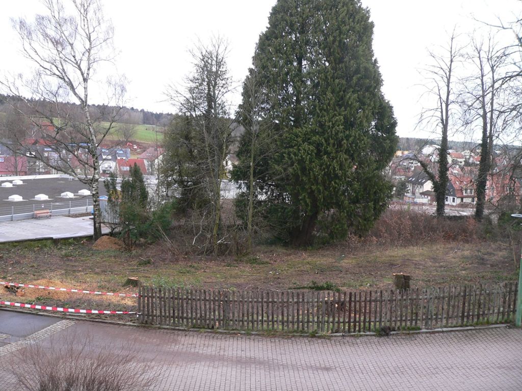 Das Gelände in der Neuen Mitte, auf dem sich in früherer Zeit ein Friedhof befand, soll ansprechend gestaltet werden.  Foto: Krokauer Foto: Schwarzwälder Bote