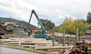 Das Sägewerk Kübler in Oberschwandorf plant eine Betriebserweiterung mit zwei Abbundhallen.  Foto: Fritsch