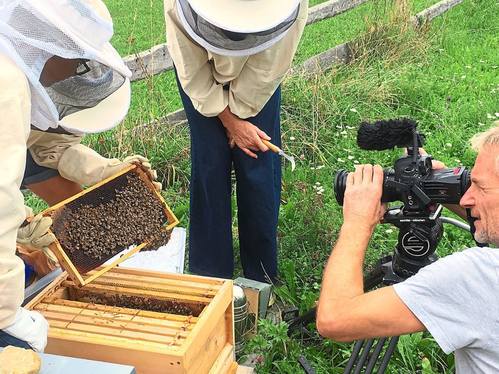 Die Fernsehleute waren interessiert am virtuellen Weg ins Innere eines Bienenvolks.  Fotos: Harnisch