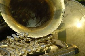 Ein Horn, eine Trompete und ein Bariton hat ein Unbekannter am Montag in Sachsenheim gestohlen. (Symbolbild) Foto: shutterstock/Bildagentur Zoonar GmbH
