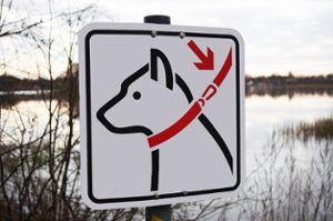 Nicht an der Leine führt ein Jäger seine Hunde, gegen den mehrere Anzeigen vorliegen. Foto: N-Lange.de WikimediaCommons