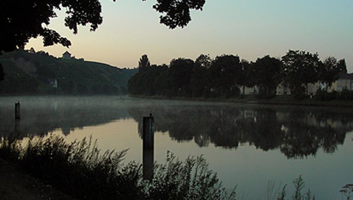 19. August: 31-Jähriger ertrinkt im Neckar