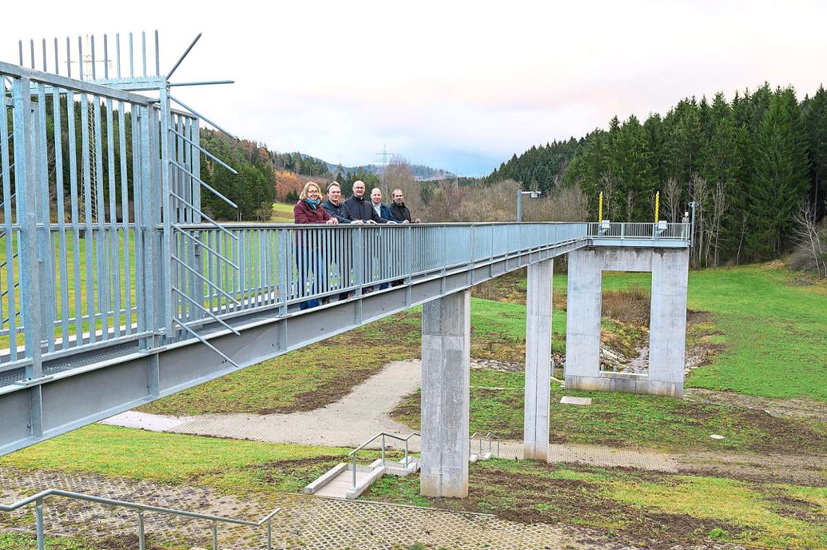 Ein 50 Meter langer Steg am Auslaufbauwerk, das helfen soll, die Starzel bei Hochwasser im Griff zu behalten. (Archivfoto)