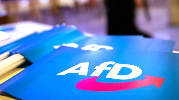 AfD hält an Europa-Kandidaten mit mutmaßlich geschönten Lebensläufen fest