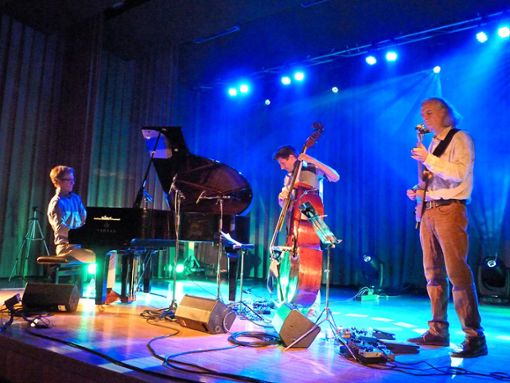 Wetterbedingt musizierte  das   Benjamin Schatz-Trio in  der  Markgrafenhalle statt  im Freien.Foto: Maria Kosowska-Németh Foto: Schwarzwälder Bote