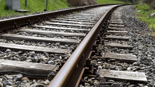 Der Verwaltungsausschuss lehnt die Reaktivierung der Bahnstrecke Rottweil-Balingen ab. Foto: Hopp