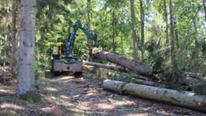 Mit schweren Maschinen wurden im Sommer 2023 Sturm- und Käferholz im Kapfwald aus dem Forst geholt. Foto: Wilfried Strohmeier