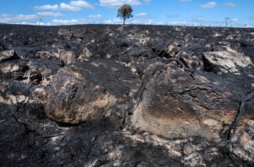 Blick auf eine verbrannte Landschaft nach einem Waldbrand in Brasparts, Westfrankreich. Foto: Fred Tanneau/AFP/dpa