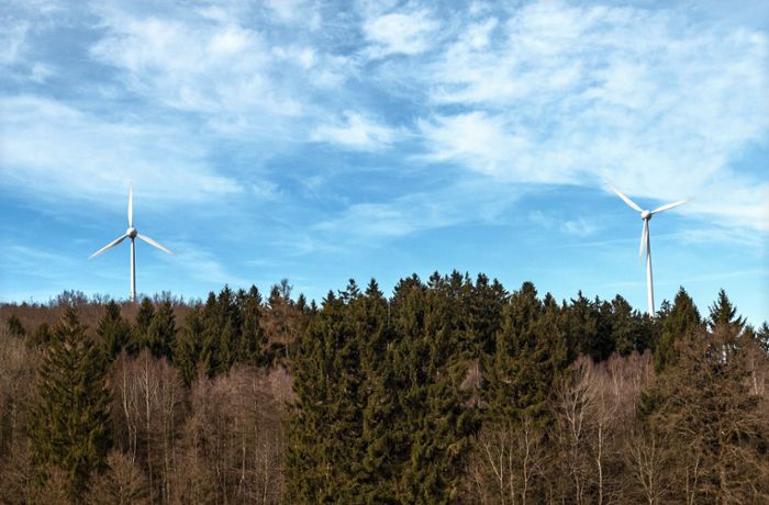 Anlage in Bad Wildbad: Wann kommt der Windpark Kälbling?