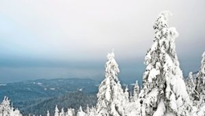 Nationalpark Schwarzwald: Ruhezonen starten diesmal etwas später