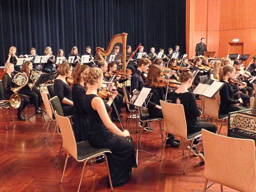 Orchestermusik ist am 5. Mai ab 18 Uhr in der Hengstetter Festhalle zu hören.  Foto: Musikschule Foto: Schwarzwälder Bote