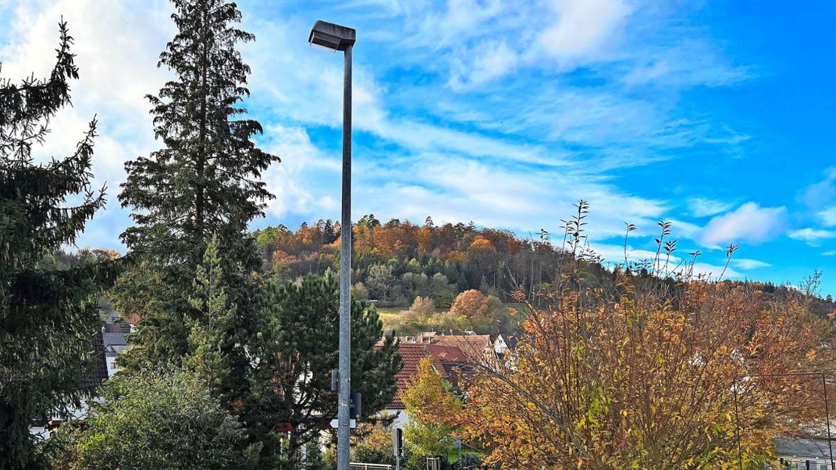Wildberger Gemeinderat wägt ab: Straßenbeleuchtung versus Stromkosten