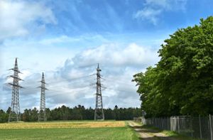 Im Waldgebiet hinter dem Jettinger Umspannwerk soll bis 2026 ein Windkraftprojekt mit fünf Windrädern entstehen. Foto: Priestersbach