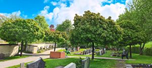 Die vier Kugelahornbäume auf dem neuen Friedhof Leidringen sollen nun nicht entfernt werden.Foto: Lehmann Foto: Schwarzwälder Bote