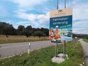 Schon von Weitem weisen Hinweisschilder des Landes Baden-Württemberg auf die Fahrbahnsanierung auf der B 463 hin.  Foto: Kost Foto: Schwarzwälder Bote