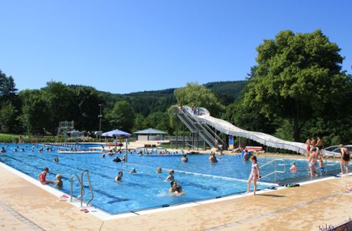 Ins Seelbacher Familienbad hat es in diesem Sommer insgesamt rund 85 000 Badegäste verschlagen. Foto: Schmidt