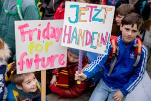 Schüler in Berlin demonstrieren für den Klimaschutz – ähnliche Bilder wird es am Freitag in Horb geben. Foto: Soeder