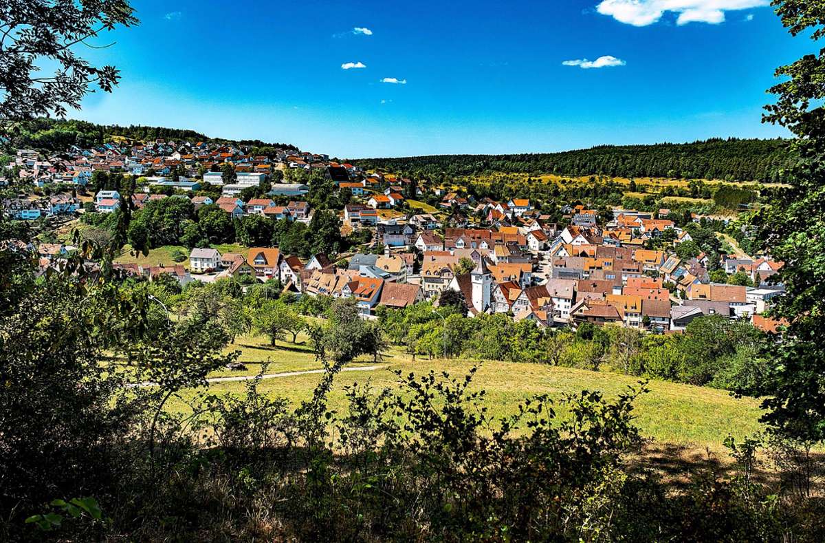 Panorama-Blick auf Haiterbach: Die Kuckucksstadt hat jetzt mehr als 6100 Einwohner. Foto: Thomas Fritsch