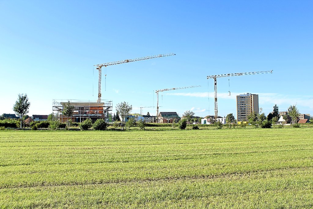 Langsam, aber stetig füllt sich der erste Bauabschnitt des Wohnbaugebiets Schoren-Süd mit Leben. Die Zahl der Baugenehmigungen ist in den vergangenen 18 Monaten deutlich angestiegen. Foto: Lipp