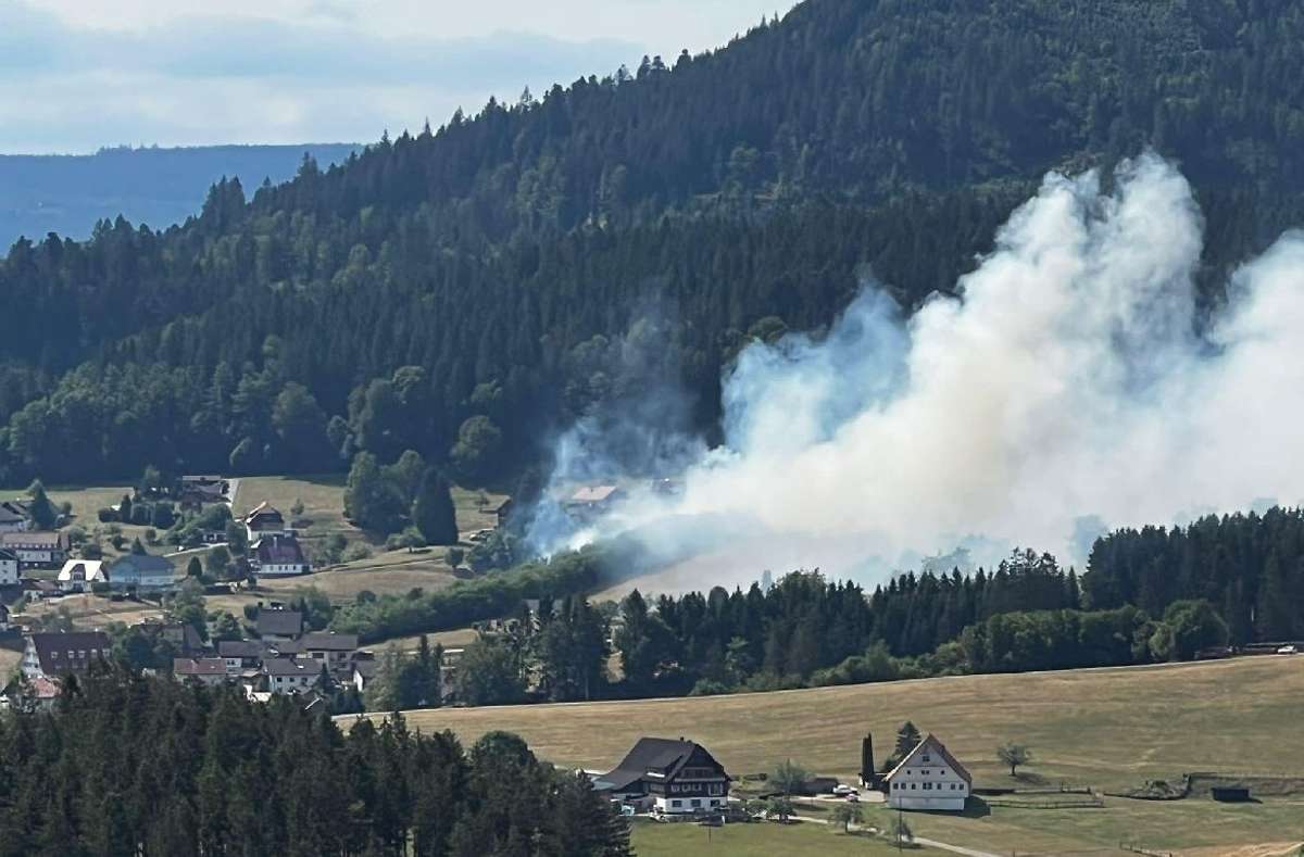 Flächenbrand in Baiersbronn: 5000 Quadratmeter Wiese stehen in Flammen