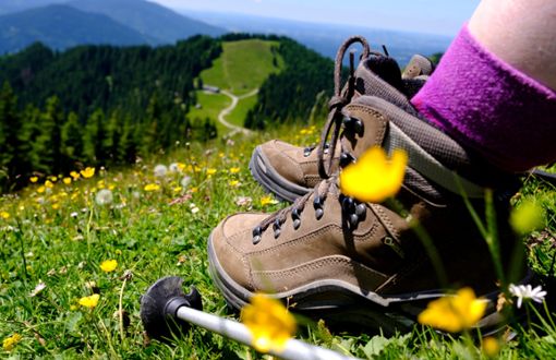 Für jeden Wandertyp ist beim Programm des Schwarzwaldvereins etwas dabei. Foto: Hoppe Foto: Schwarzwälder Bote