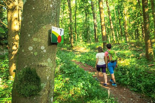 Der 7-Berge-Wege wird am Sonntag ganz offiziell als zertifizierte Wanderroute wiedereröffnet. Foto: Stadt Nagold Foto: Schwarzwälder Bote