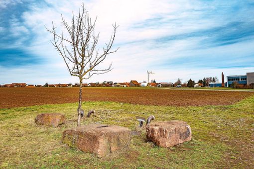 Am westlichen Ortsrand Effringens soll ein knapp fünf Hektar großes Gewerbegebiet entstehen. Foto: Fritsch