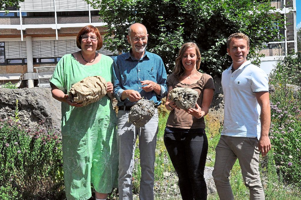 Zeigen ein paar besonders große Exemplare von Wespen- und Hornissennestern (von links): Helga Hertkorn, Bernd Schmitt, Anne Buhl und David Wiesenberger.  Foto: Ungureanu