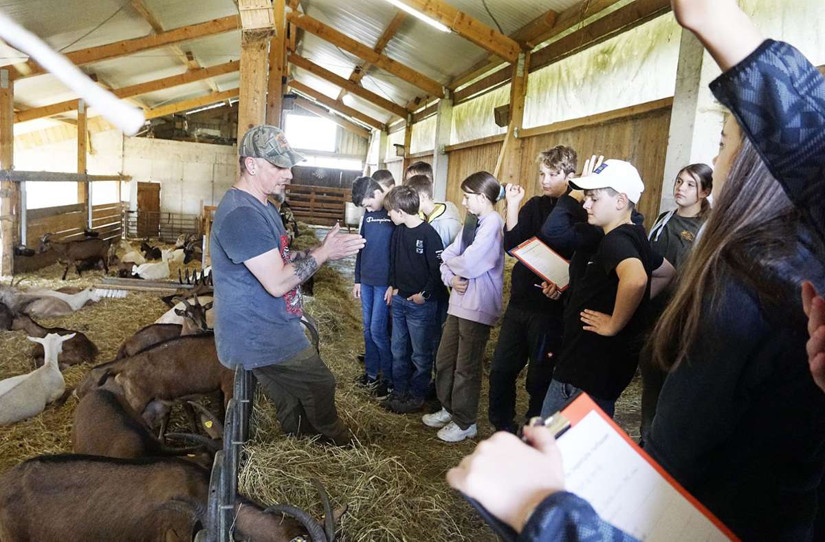 Landesprogramm „Lernort Bauernhof“: Gammertinger Schüler besuchen die Ziegenhütte in Harthausen