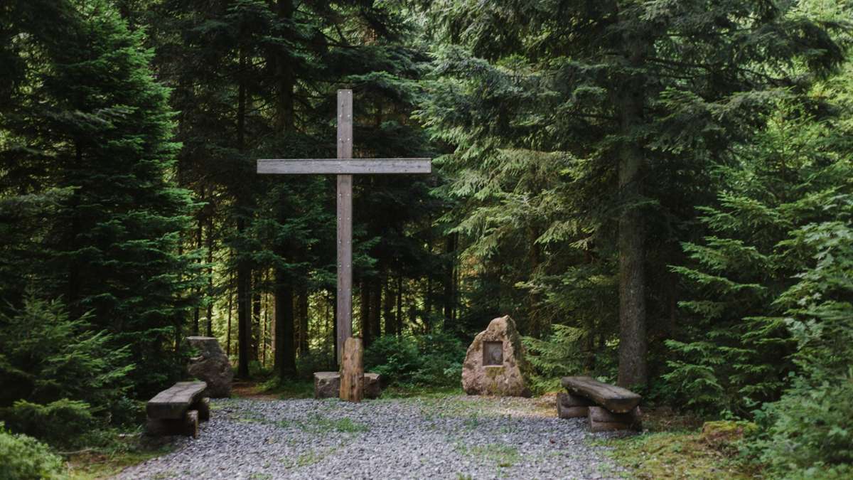 Die Bestattung im Wald gewinnt immer stärker an Bedeutung.  Foto: FriedWald GmbH